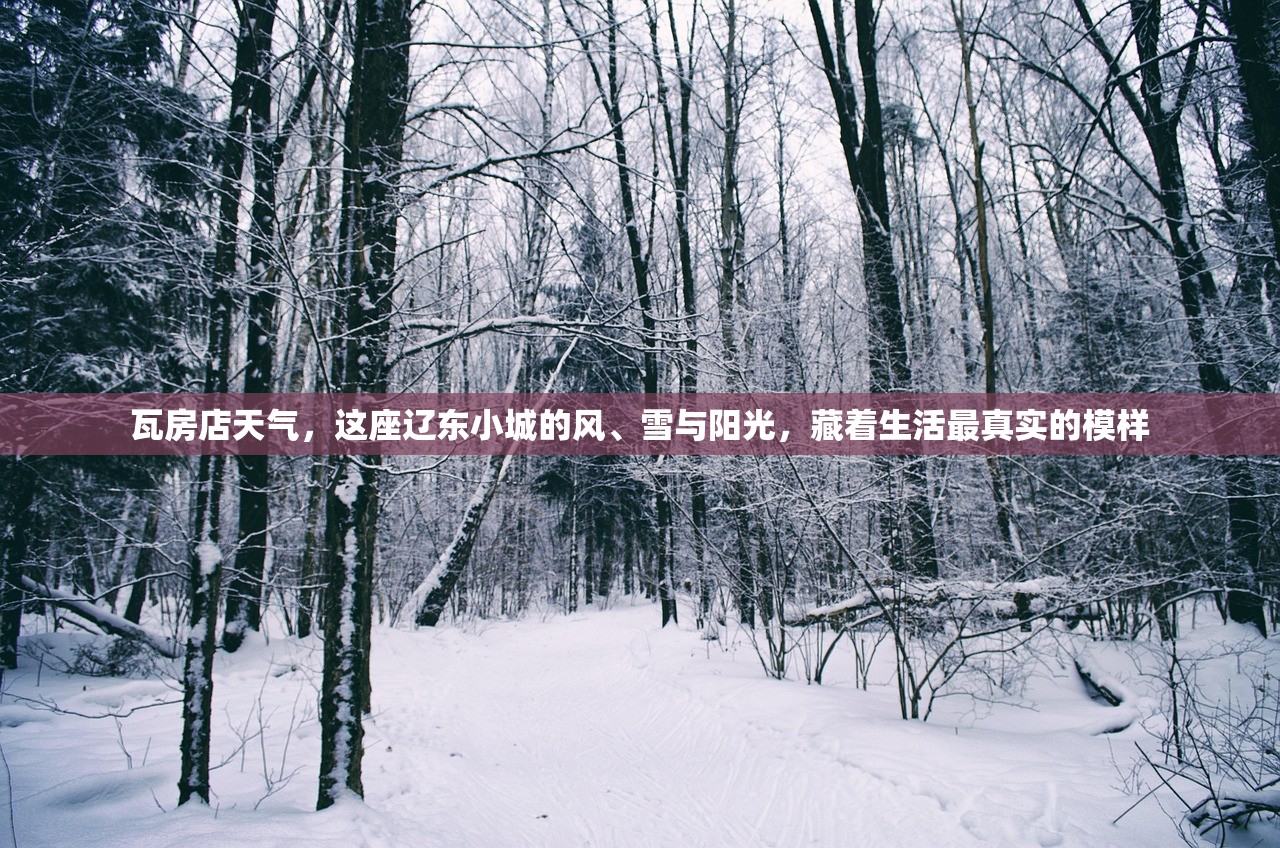 瓦房店天气，这座辽东小城的风、雪与阳光，藏着生活最真实的模样