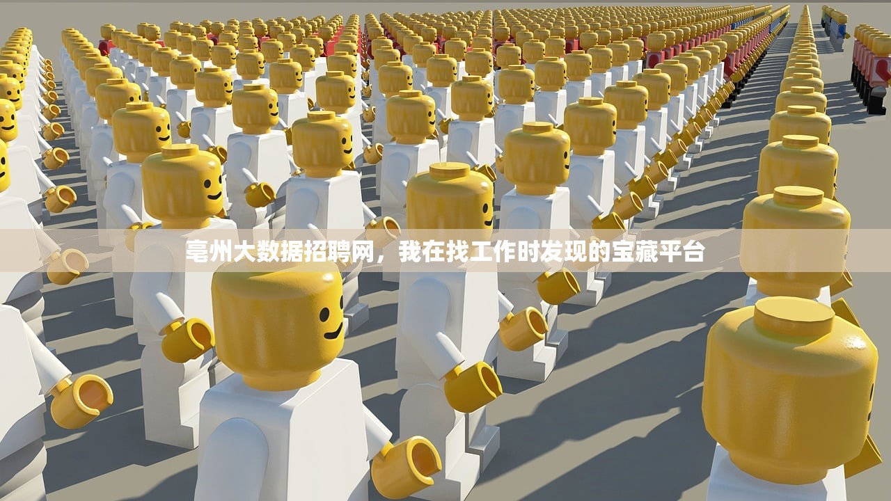 亳州大数据招聘网，我在找工作时发现的宝藏平台