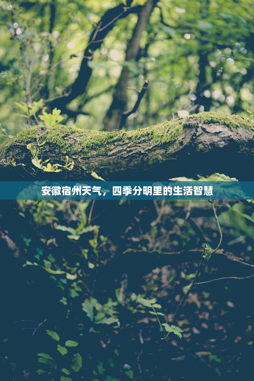 安徽宿州天气,四季分明里的生活智慧 安徽宿州天气,四季分明里的生活智慧