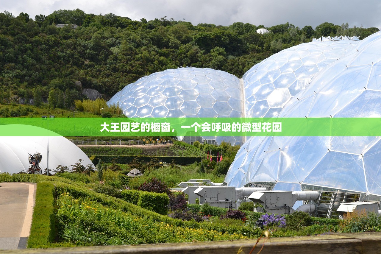 大王园艺的橱窗，一个会呼吸的微型花园