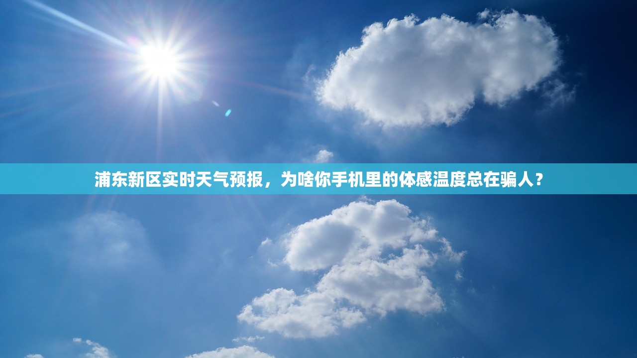 浦东新区实时天气预报，为啥你手机里的体感温度总在骗人？