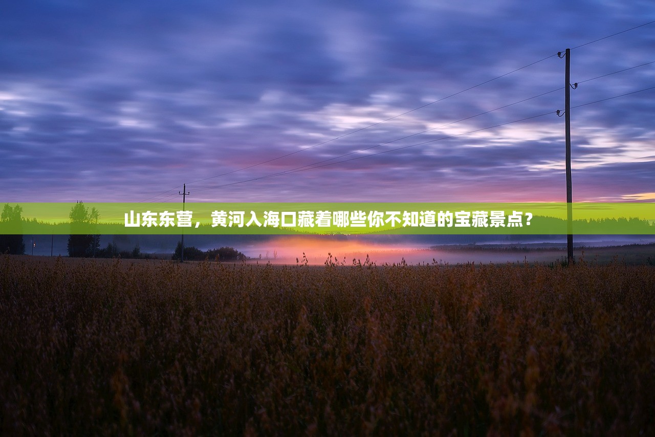 山东东营，黄河入海口藏着哪些你不知道的宝藏景点？