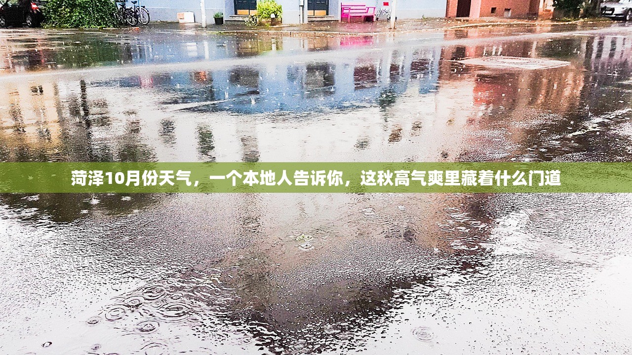 菏泽10月份天气，一个本地人告诉你，这秋高气爽里藏着什么门道