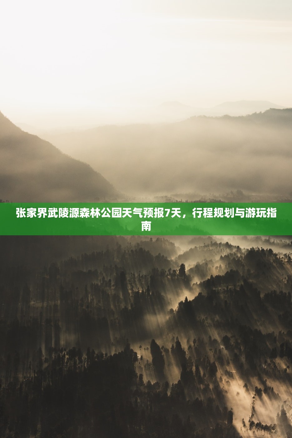 张家界武陵源森林公园天气预报7天，行程规划与游玩指南