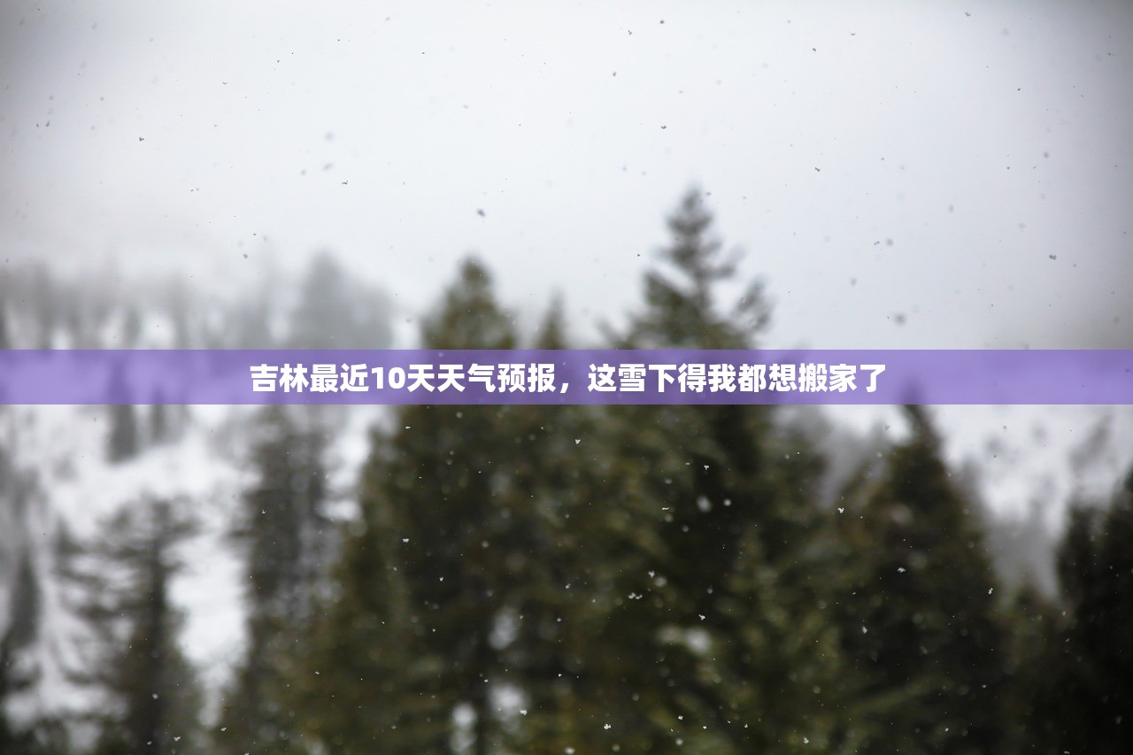 吉林最近10天天气预报，这雪下得我都想搬家了